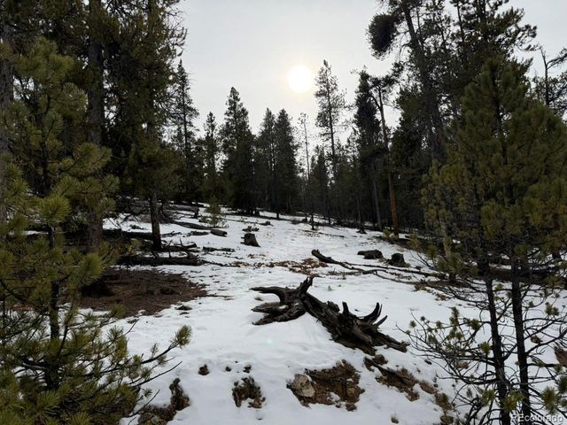 124 Lodgepole Drive, Twin Lakes, CO 81251