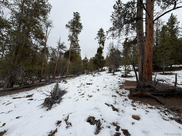 124 Lodgepole Drive, Twin Lakes, CO 81251