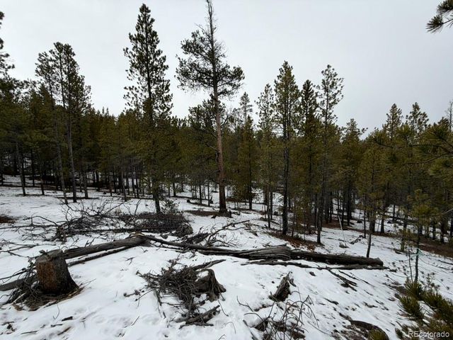 124 Lodgepole Drive, Twin Lakes, CO 81251