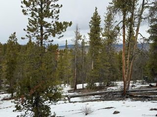 124 Lodgepole Drive, Twin Lakes, CO 81251