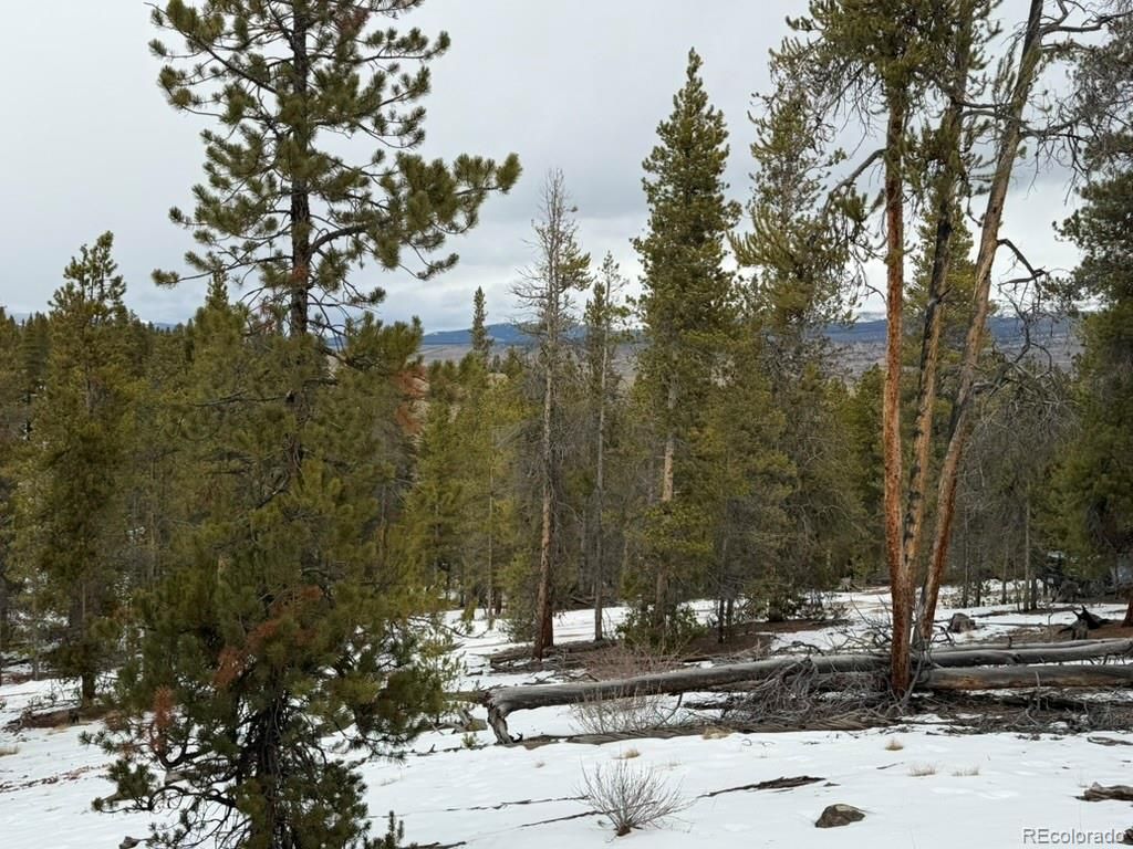 124 Lodgepole Drive, Twin Lakes, CO 81251