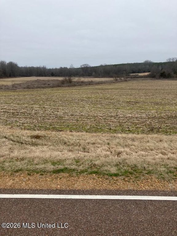9002 Lot 2 Hudson Road, Hernando, MS 38632 — exterior