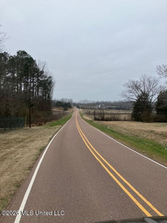 9002 Lot 2 Hudson Road, Hernando, MS 38632 — photo 3