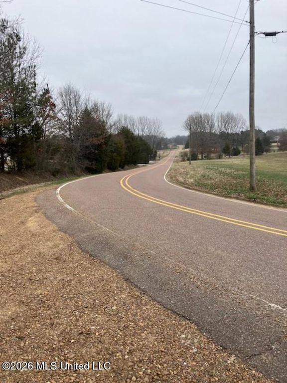 9002 Lot 2 Hudson Road, Hernando, MS 38632 — photo 4