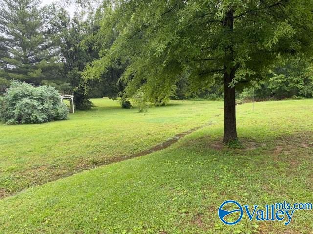 732 Wheeler Drive NE, Arab, AL 35016