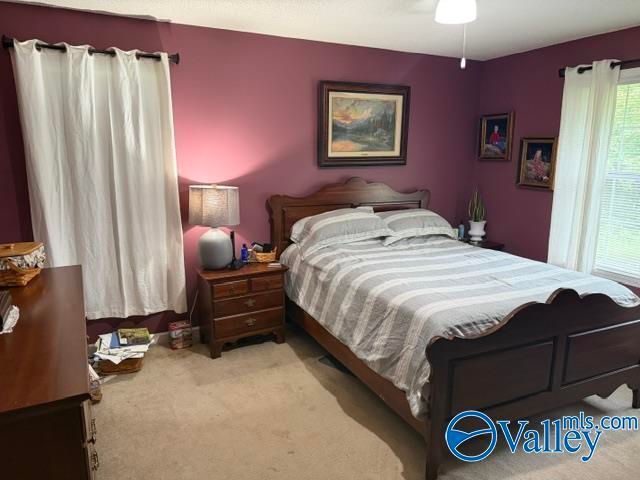 732 Wheeler Drive NE, Arab, AL 35016