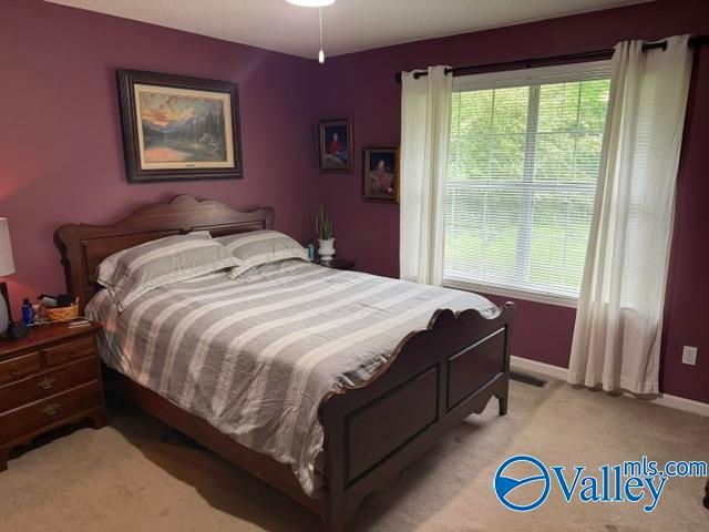 732 Wheeler Drive NE, Arab, AL 35016