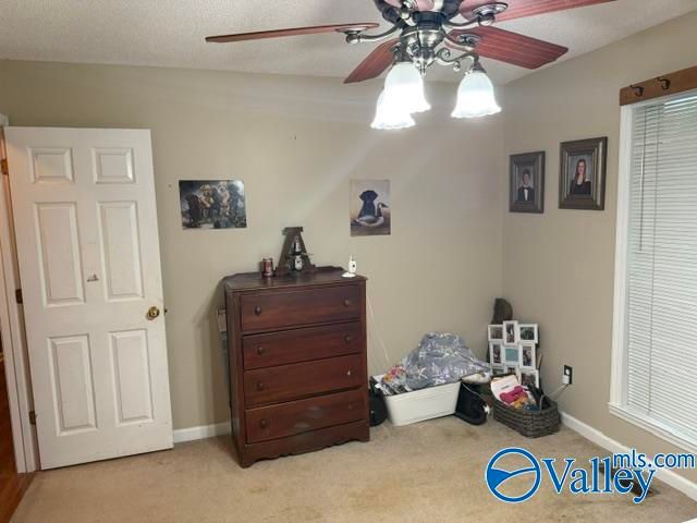 732 Wheeler Drive NE, Arab, AL 35016