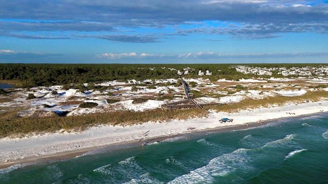 90 Siasconset Lane, Inlet Beach, FL 32461