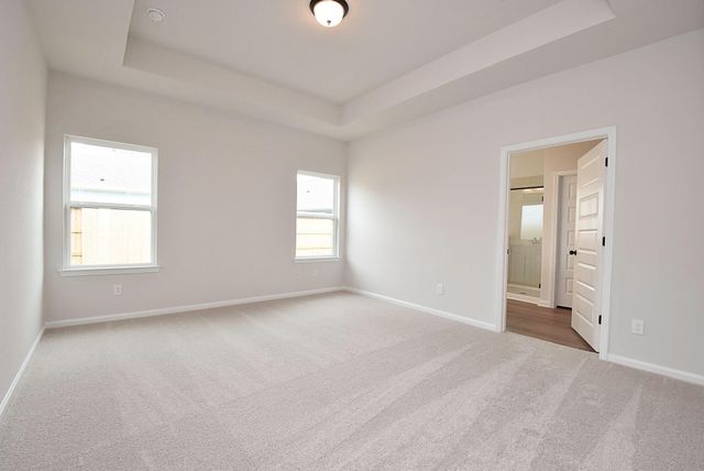 32324 Bluetipped Dancer Court Court, Fulshear, TX 77441