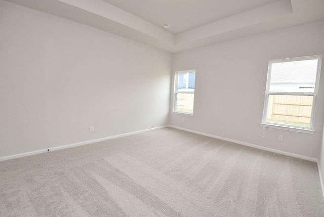 32324 Bluetipped Dancer Court Court, Fulshear, TX 77441