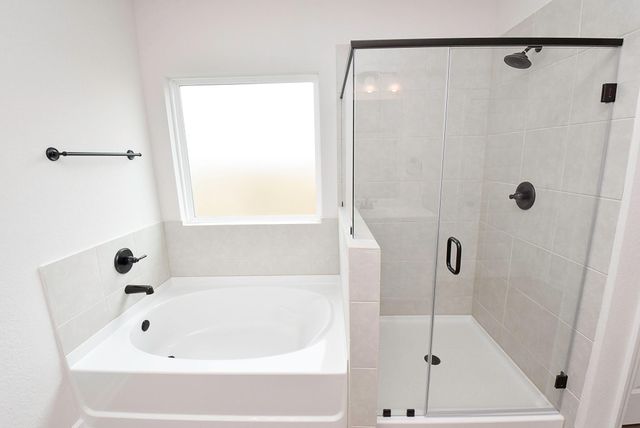 32324 Bluetipped Dancer Court Court, Fulshear, TX 77441