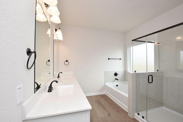 32324 Bluetipped Dancer Court Court, Fulshear, TX 77441