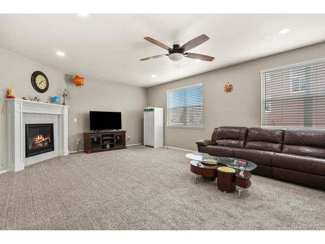 13072 Norway Maple St, Parker, CO 80134