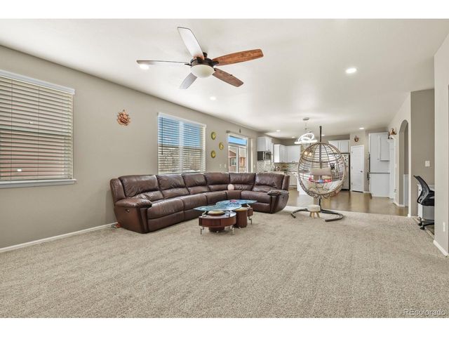 13072 Norway Maple St, Parker, CO 80134