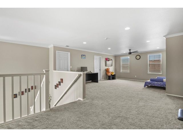 13072 Norway Maple St, Parker, CO 80134