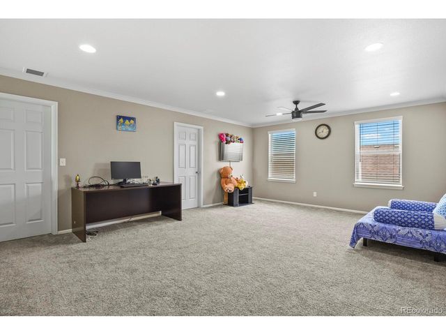 13072 Norway Maple St, Parker, CO 80134