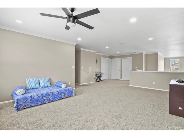 13072 Norway Maple St, Parker, CO 80134