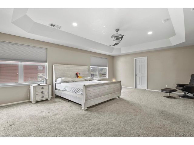 13072 Norway Maple St, Parker, CO 80134