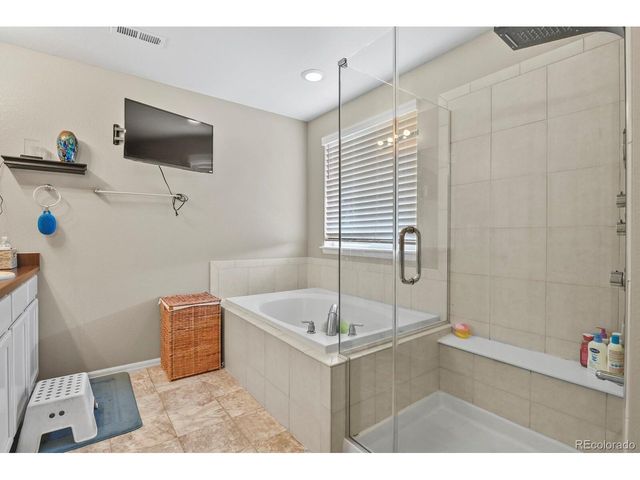 13072 Norway Maple St, Parker, CO 80134