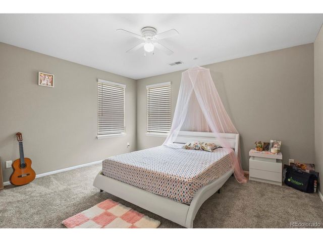 13072 Norway Maple St, Parker, CO 80134