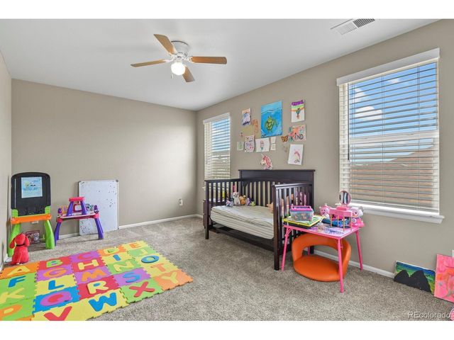 13072 Norway Maple St, Parker, CO 80134