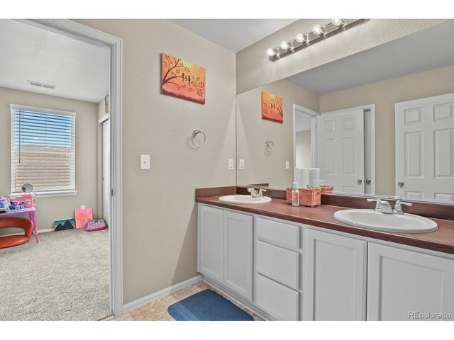 13072 Norway Maple St, Parker, CO 80134