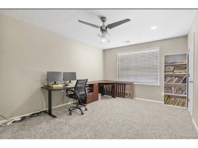 13072 Norway Maple St, Parker, CO 80134