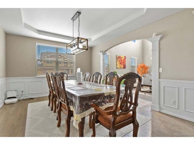 13072 Norway Maple St, Parker, CO 80134