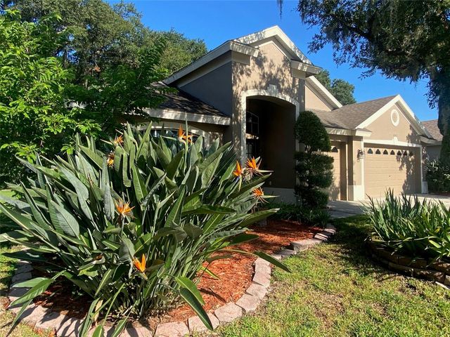 10542 SAN TRAVASO DRIVE, Tampa, FL 33647