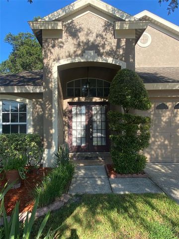 10542 SAN TRAVASO DRIVE, Tampa, FL 33647