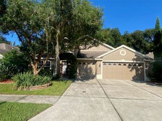 10542 SAN TRAVASO DRIVE, Tampa, FL 33647