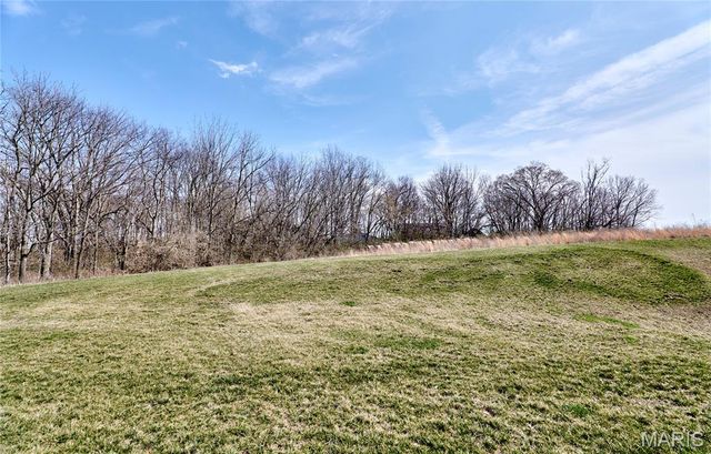 142 Crabapple School Court, Moscow Mills, MO 63362