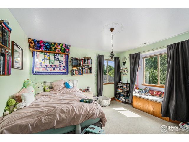 980 Norway Maple Dr, Loveland, CO 80538