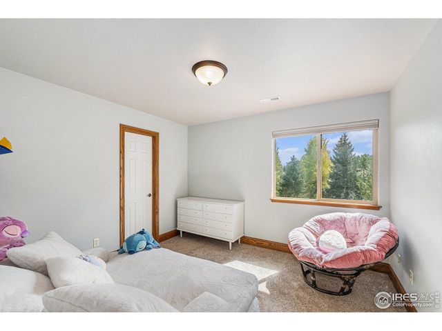 980 Norway Maple Dr, Loveland, CO 80538