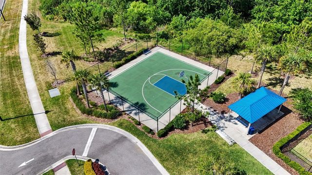 3296 SUNCOAST PLAINS DRIVE, Odessa, FL 33556