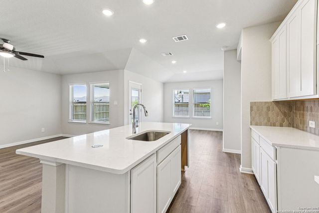 4506 Wild Goose, San Antonio, TX 78245