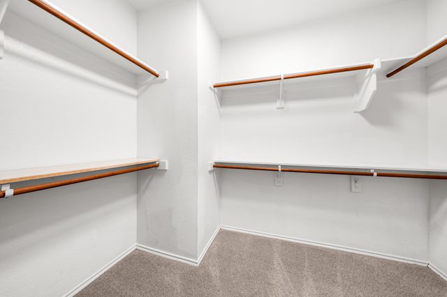 9840 Wild Ginger Drive, Mckinney, TX 75072