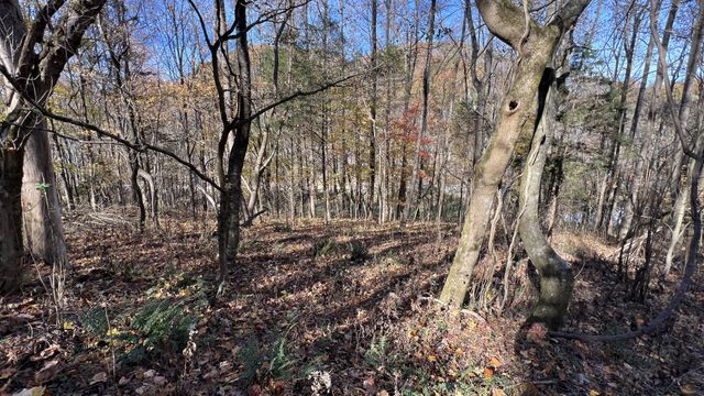 0 Cookeville Hwy, Elmwood, TN 38560