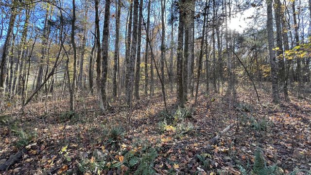 0 Cookeville Hwy, Elmwood, TN 38560