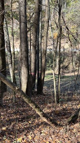 0 Cookeville Hwy, Elmwood, TN 38560