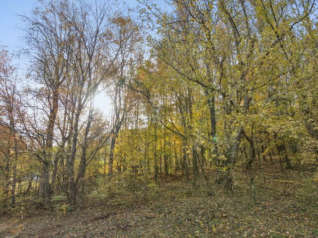 0 Cookeville Hwy, Elmwood, TN 38560