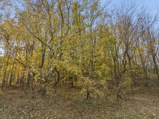 0 Cookeville Hwy, Elmwood, TN 38560