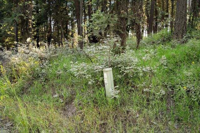 XXX N Madison Rd, Mead, WA 99021
