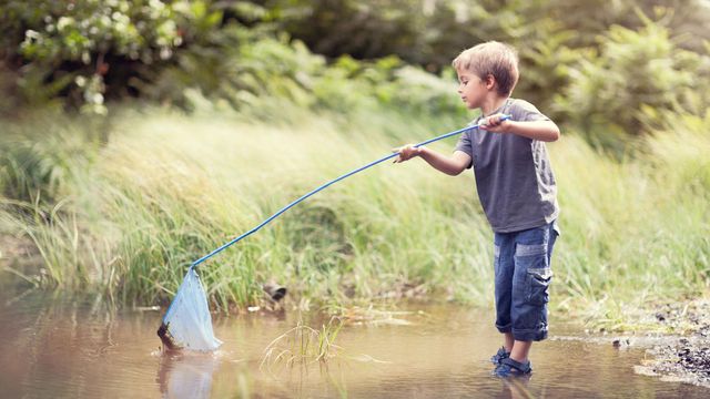 311 Foxfire CV, Lockhart, TX 78644