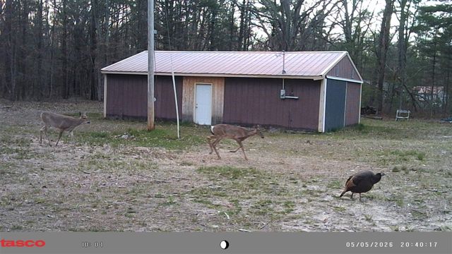 3920 Simonelli Road, Whitehall, MI 49461