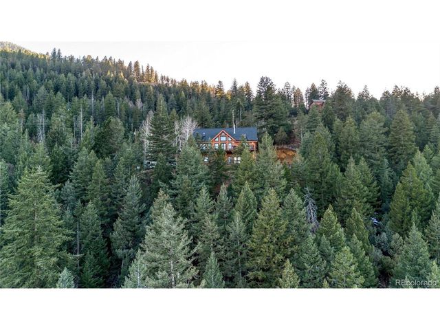 1055 Saddleback Dr, Evergreen, CO 80439