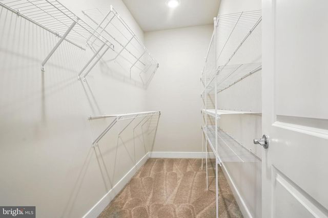 1843 MAGNOLIA FRUIT DR, Dumfries, VA 22026