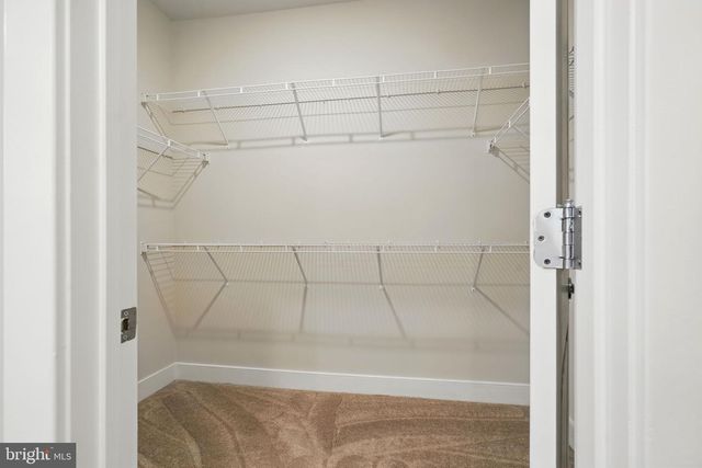 1843 MAGNOLIA FRUIT DR, Dumfries, VA 22026