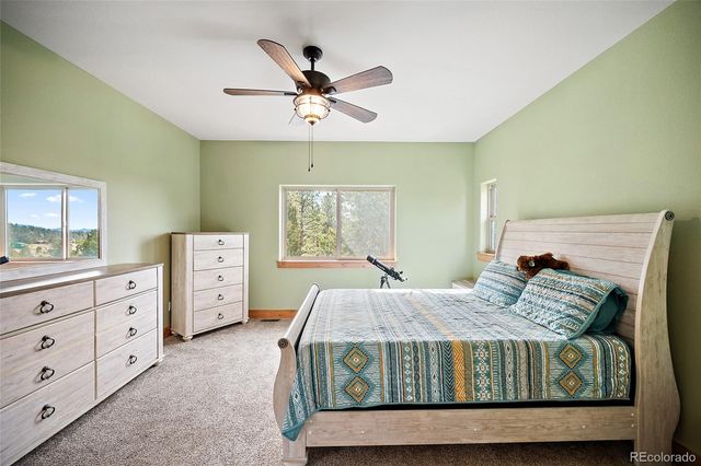 367 Cottonwood Lake Drive, Divide, CO 80814